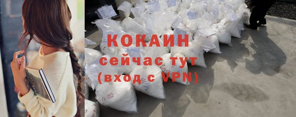 МДПВ Пестово