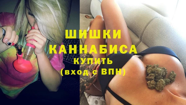МДПВ Пестово