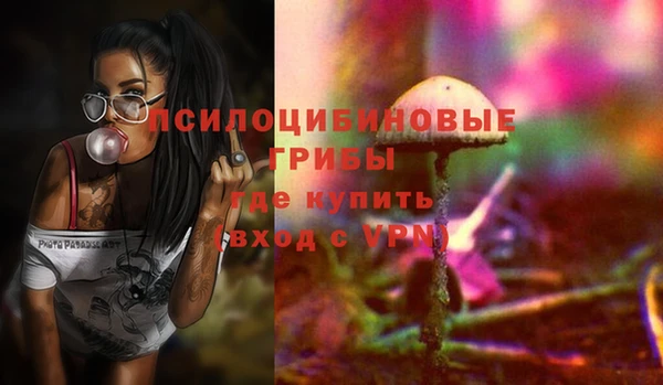 эйфоретик Пересвет