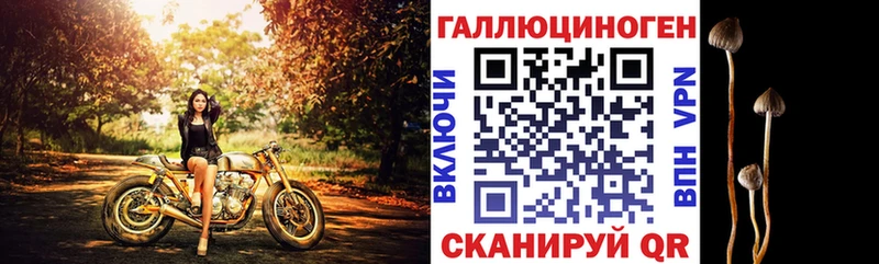 Псилоцибиновые грибы Magic Shrooms  купить закладку  Учалы 
