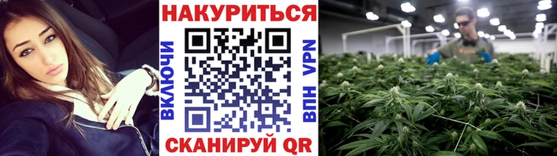 Бошки Шишки гибрид Учалы